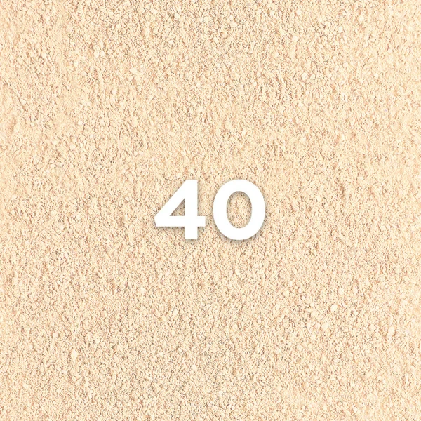 40.webp