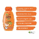apricot.webp