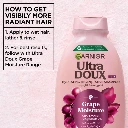 5-UDGRAPEMOISTURESHAMPOO-400ML-3610340675423.webp
